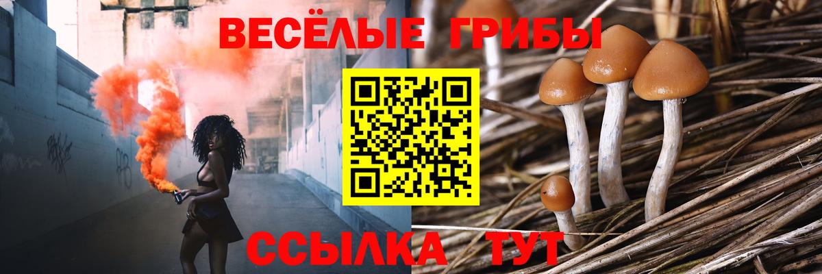 Галлюциногенные грибы Cubensis  купить закладку  Кизляр  Вход с VPN 